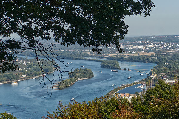 Rheinblick